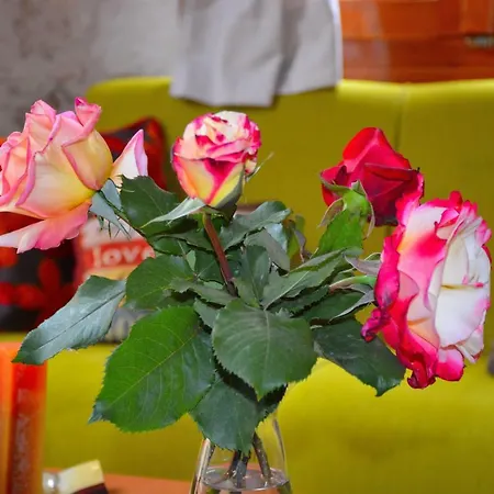 Guest house Minares Traditional Houses Rethymno (Crete)